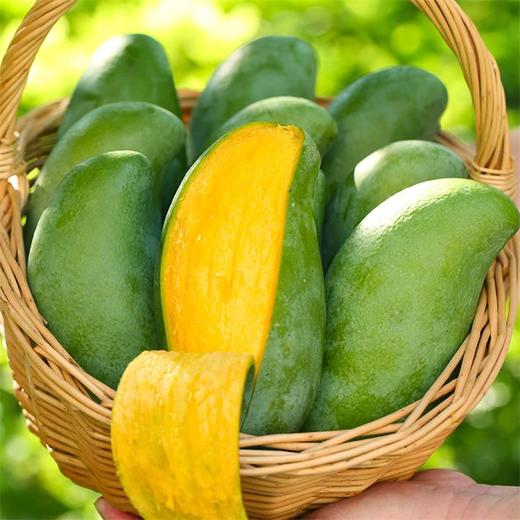 广西田东桂七芒礼盒装 中果5斤天地盖礼盒（单果250克+） 商品图1