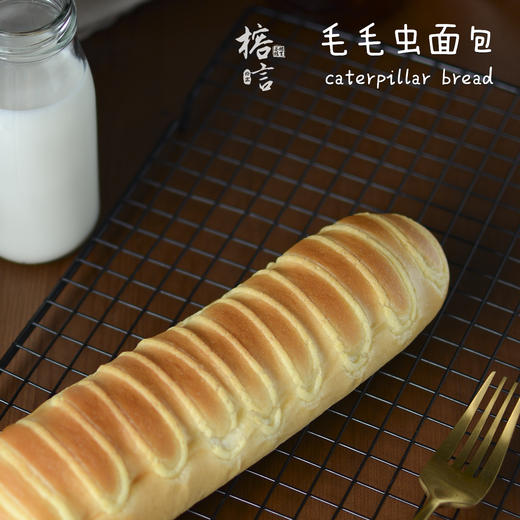 毛毛虫 商品图1