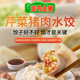 一号土猪 芹菜猪肉饺子480g（20gX24个）