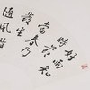方楚雄《好雨知时节，当春乃发生》书法原作33CM*66CM 手写扇面书法作品 商品缩略图3