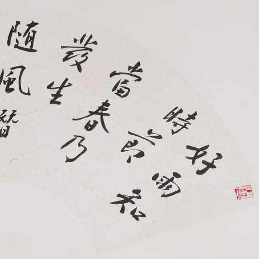 方楚雄《好雨知时节，当春乃发生》书法原作33CM*66CM 手写扇面书法作品 商品图3