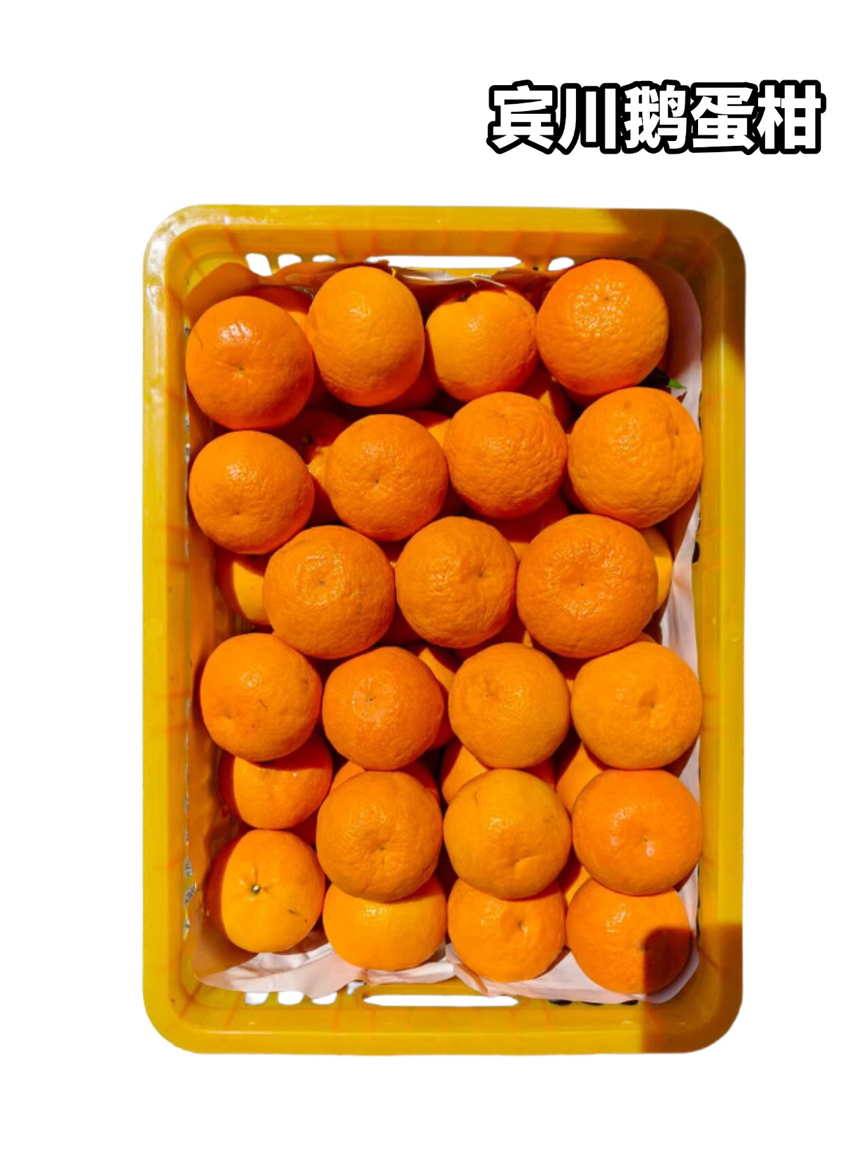 宾川鹅蛋柑 单果3-4两左右