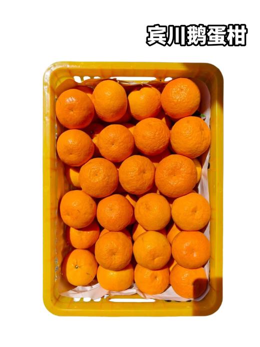 宾川鹅蛋柑 单果3-4两左右 商品图0