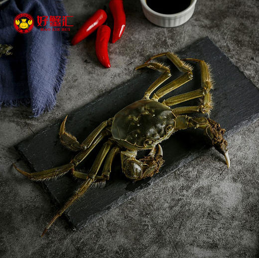 礼遇珍品大闸蟹428型 商品图2