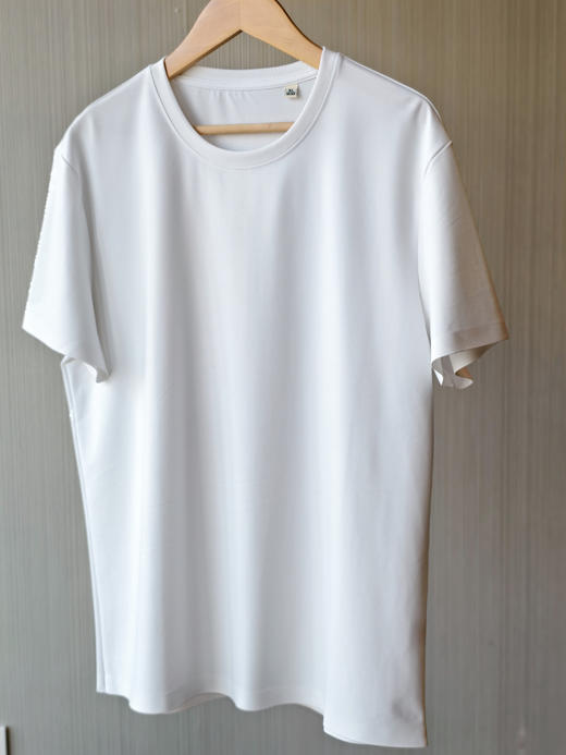 王炸高品质男士罗蒙桑蚕丝净版圆领T恤 商品图12