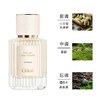 【巨折！人间仙气！】Chloe/蔻依仙境花园系列-北国雪松香水 50ml EPD 木质香 商品缩略图0