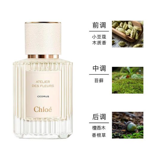 【巨折！人间仙气！】Chloe/蔻依仙境花园系列-北国雪松香水 50ml EPD 木质香 商品图0