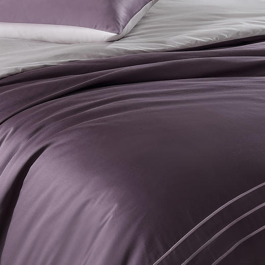 博洋宝贝祥瑞黛紫-60支贡缎长绒棉四件套BYJTCMGD105 商品图2