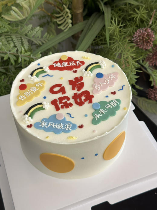 你好，少年，翻糖文字蛋糕，提前24小时以上预定 商品图7