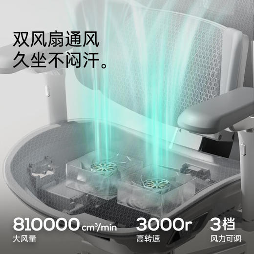 黑白调X7智能追腰人体工学椅电脑椅办公椅子人工力学座椅电竞椅按摩加热 商品图4