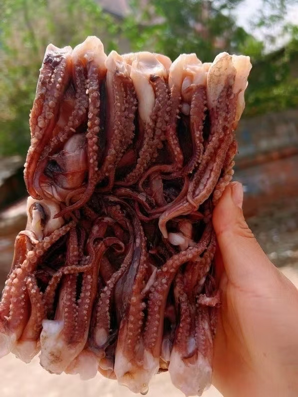 鱿鱼须（鱿鱼头），口感脆爽，营养丰富，毛重500g/板，出口品质，无泡水，无泡药，无任何添加。辽宁省内包邮，省外不发。