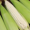 河谷上方 现摘水果玉米新鲜净重9斤蔬菜糯甜玉米 商品缩略图4