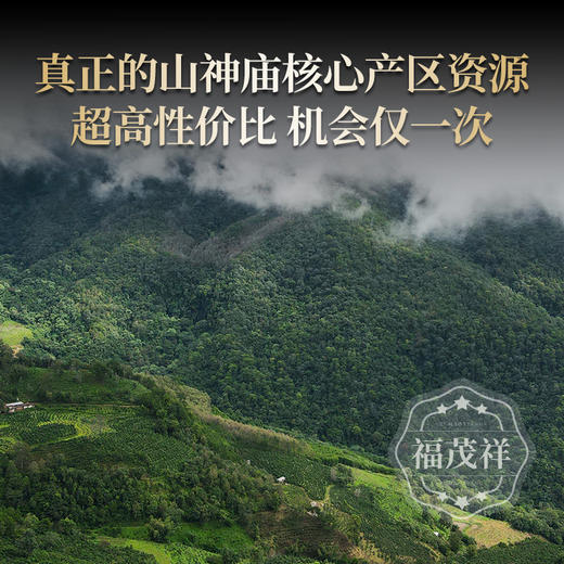 清新淡雅柏木香 【山神庙】2023年春茶云南普洱茶区江城山神庙大山古树纯料普洱生茶饼357g 商品图2