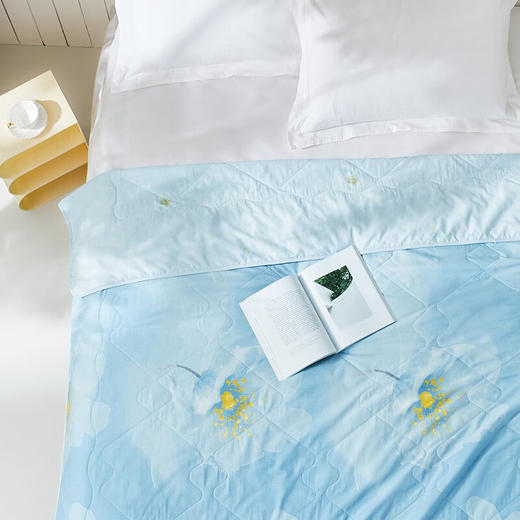 【多样屋专柜】罗莱 辽原栎丝全棉可水洗蚕丝夏被200*230cm 商品图3