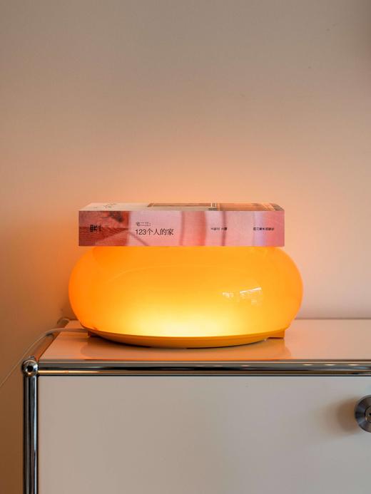 四开《123个人的家》加印新版！真正有用的自宅哲学 八百页当代中国家宅样本，原创家居设计词典谱系图 王牧之 主编 商品图1