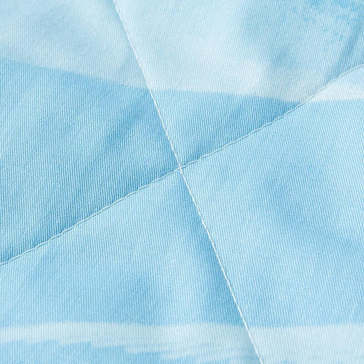 【多样屋专柜】罗莱 辽原栎丝全棉可水洗蚕丝夏被200*230cm 商品图6