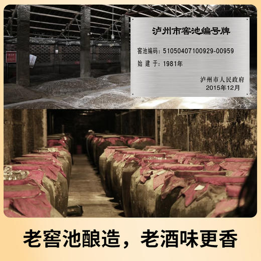 [卢原20]52度-泰裕昌酒浓香型白酒四川粮食酒4瓶装整箱 商品图4