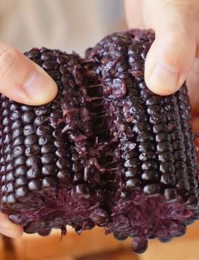 黑金时刻黑糯玉米（1.3KG）