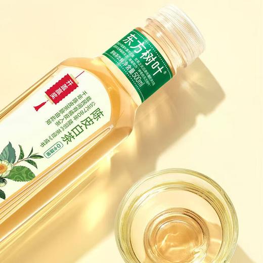 东方树叶 陈皮白茶 500ml 商品图2