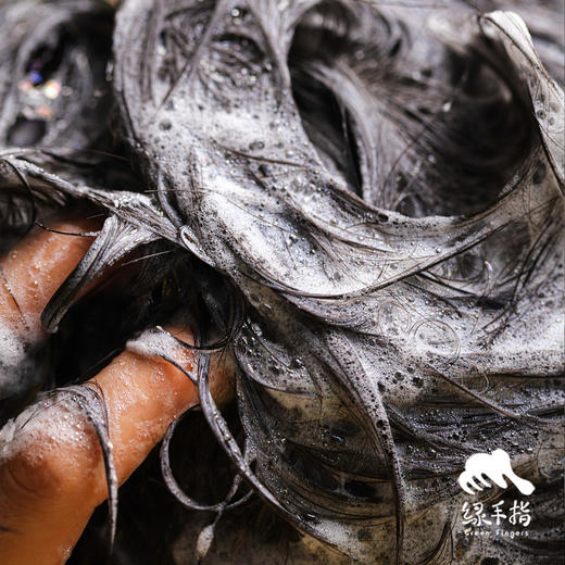 侧柏草本洗发水 | 合作生产*Cypress Herbal Shampoo | Partner Production 商品图3