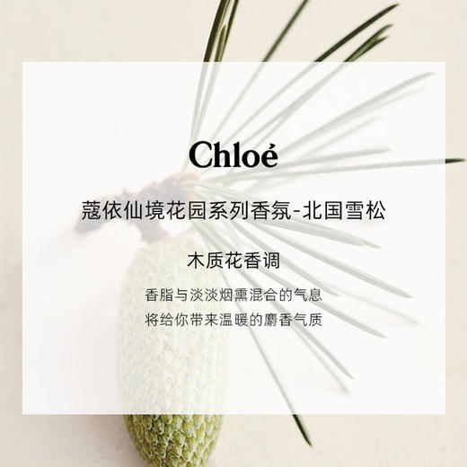 【巨折！人间仙气！】Chloe/蔻依仙境花园系列-北国雪松香水 50ml EPD 木质香 商品图1