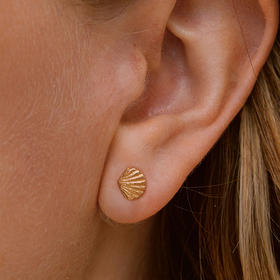 北京仓｜Agapee-Almé-金色贝壳 迷你 耳钉［法国设计师］