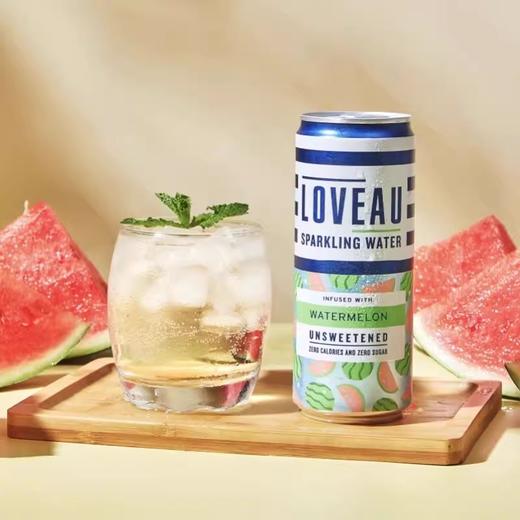 英国莱福澳西瓜味气泡水饮料330ml 商品图0