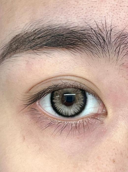 Huohuocon旗下  枯叶豆娘 14.5mm白狮参考着色待测 半年抛 商品图2