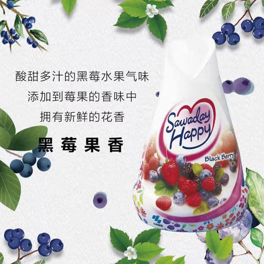 日本进口小林制药固体消臭元120g【多香型】 商品图2