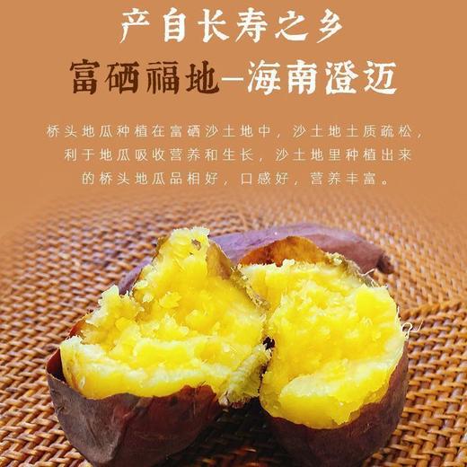 【正宗海南桥头地瓜 中果】约3斤左右/份（中果） 商品图2