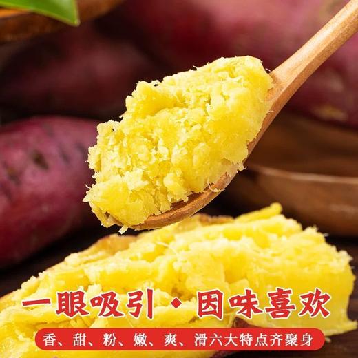 【正宗海南桥头地瓜 中果】约3斤左右/份（中果） 商品图5