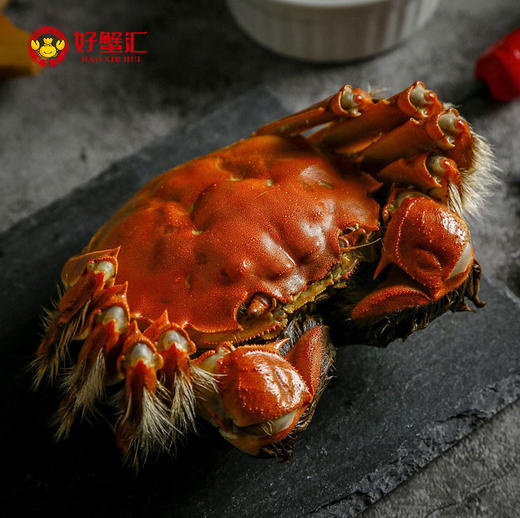 礼遇珍品大闸蟹428型 商品图3
