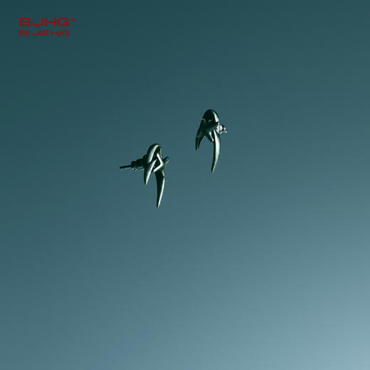 BJHG不计后果 钝星尾迹耳钉男女同款个性潮流百搭小众高级感耳饰 商品图1