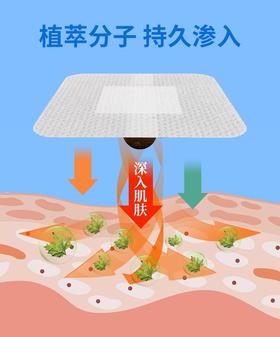 “三流的母亲做保姆，二流的母亲做教练，一流的母亲做……”