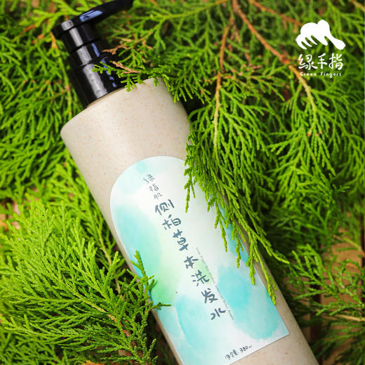 侧柏草本洗发水 | 合作生产*Cypress Herbal Shampoo | Partner Production 商品图1