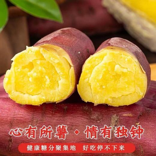 【正宗海南桥头地瓜 中果】约3斤左右/份（中果） 商品图3