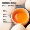 阳光蛋仔无菌蛋 含叶黄素DHA硒元素 800米高山生态 可生食生态富硒蛋30枚 商品缩略图1
