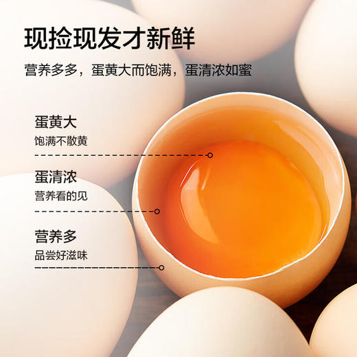 阳光蛋仔无菌蛋 含叶黄素DHA硒元素 800米高山生态 可生食生态富硒蛋30枚 商品图1