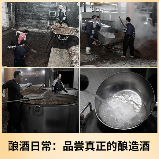 [卢原20]52度-泰裕昌酒浓香型白酒四川粮食酒4瓶装整箱 商品图5