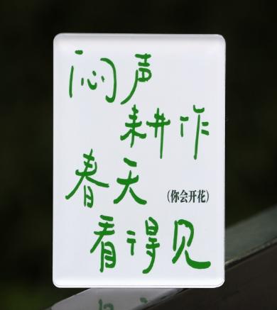 焦野绿冰箱贴【你会开花】 商品图0