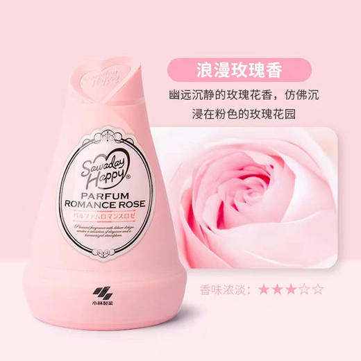 日本进口小林制药固体消臭元120g【多香型】 商品图1