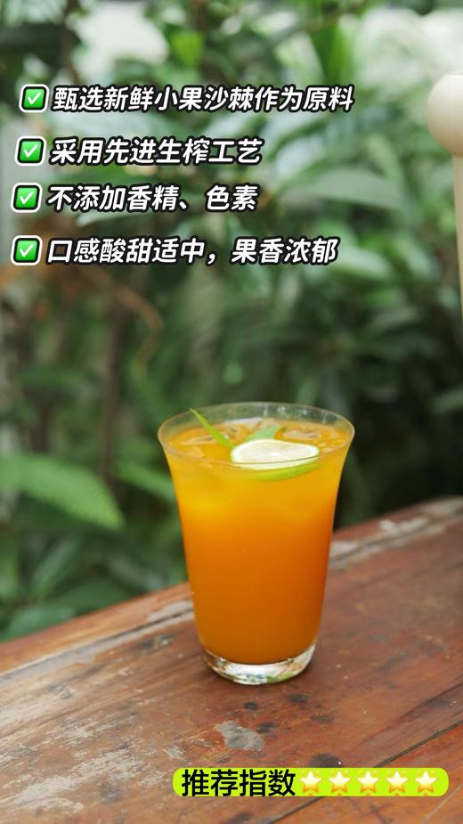 西域小白 沙棘果汁饮 商品图1