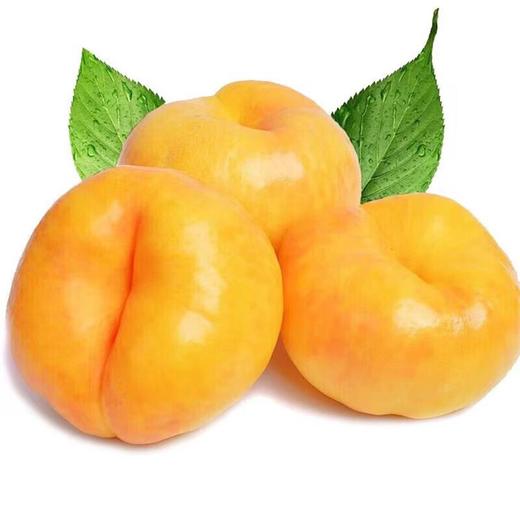 【臻选好果】彩虹黄金油蟠桃4.5-5斤   顺丰发货 产地山东蒙阴 商品图0