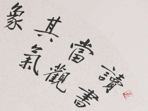 方楚雄《读书当观其气象》书法原作33CM*66CM 手写扇面书法作品 商品图3