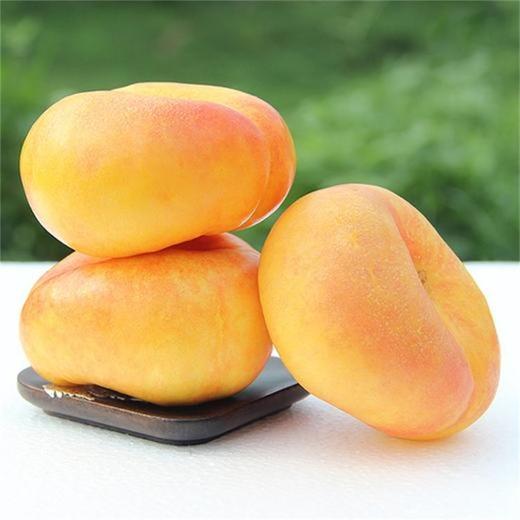 【臻选好果】彩虹黄金油蟠桃4.5-5斤   顺丰发货 产地山东蒙阴 商品图7