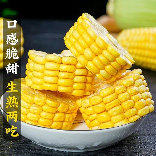 河谷上方 现摘水果玉米新鲜净重9斤蔬菜糯甜玉米 商品图1