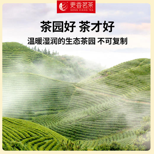 更香有机茶100g袋装（三级） 商品图4