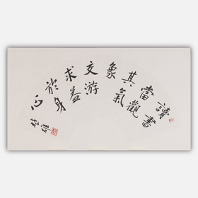 方楚雄《读书当观其气象》书法原作33CM*66CM 手写扇面书法作品