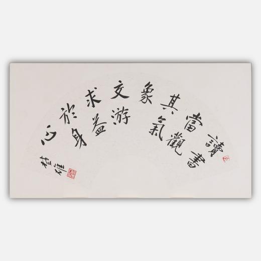 方楚雄《读书当观其气象》书法原作33CM*66CM 手写扇面书法作品 商品图0