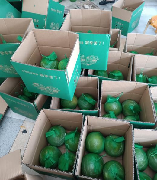 泰国·红心翡翠柚 商品图4